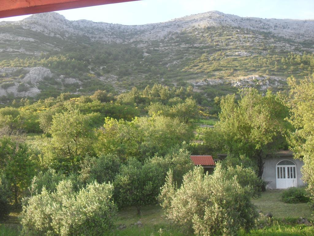 Apartment Bogoje Kuciste Exterior photo